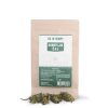 Hemp Bud Tea - Image 2